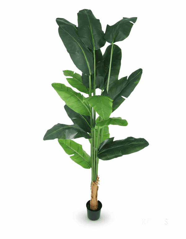 Planta Banano Artificial con Maceta 2,5 m