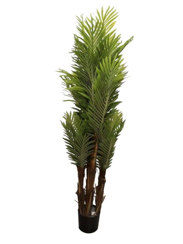 Planta Palmera Con Maceta 60Cm