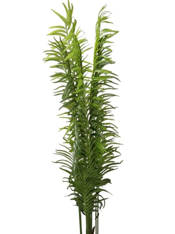 Planta Palmera Con Maceta 180Cm