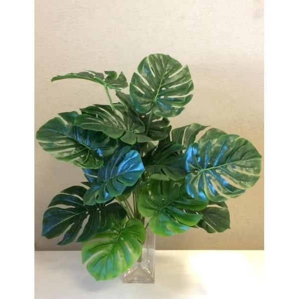 Planta Mostera 60Cm Con Maceta